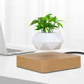 Levitating Air Bonsai Plant Pot magnetic floating